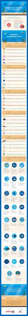 Petco Fish Infographic