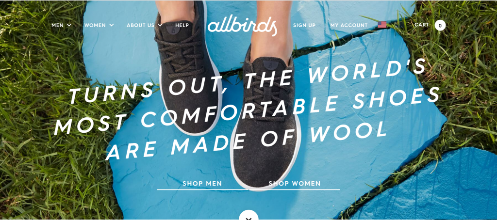 Allbirds Site Imagery
