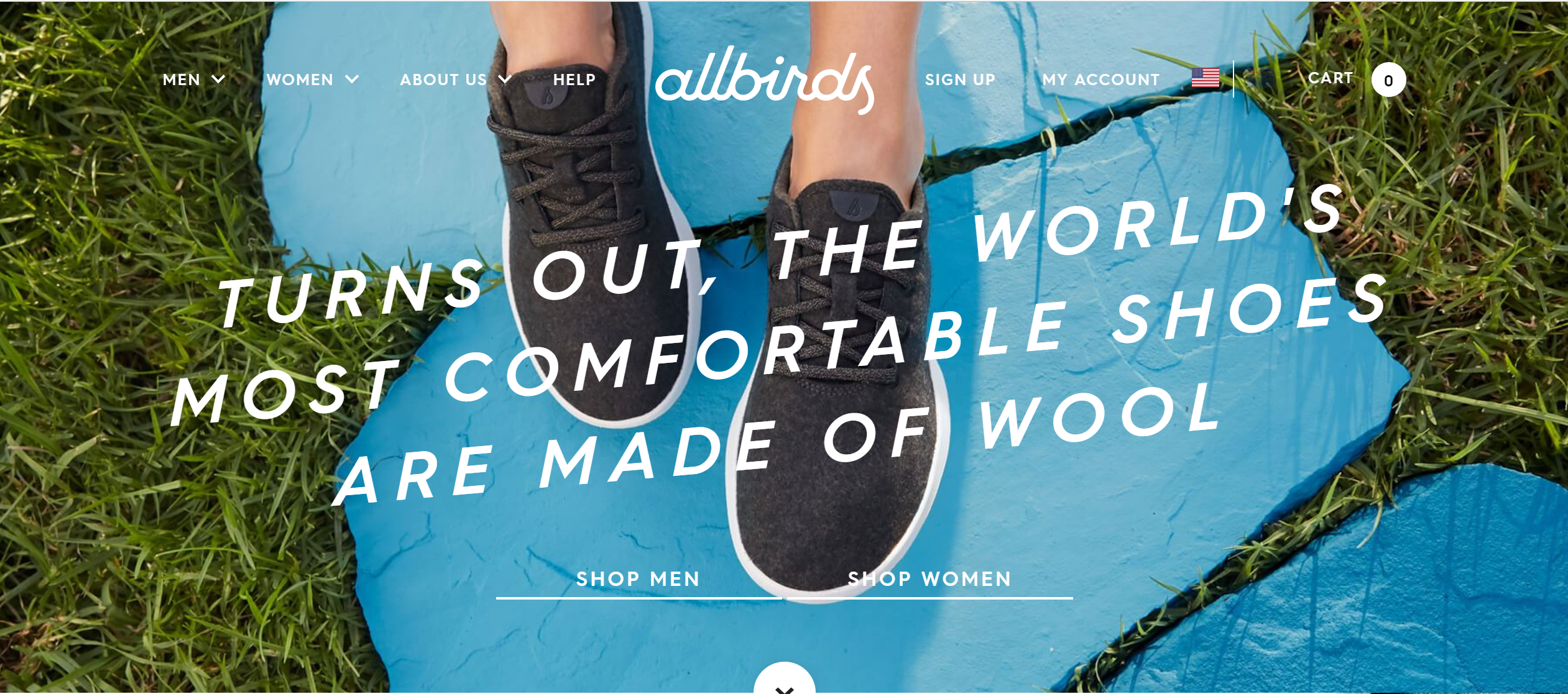 allbirds advertising