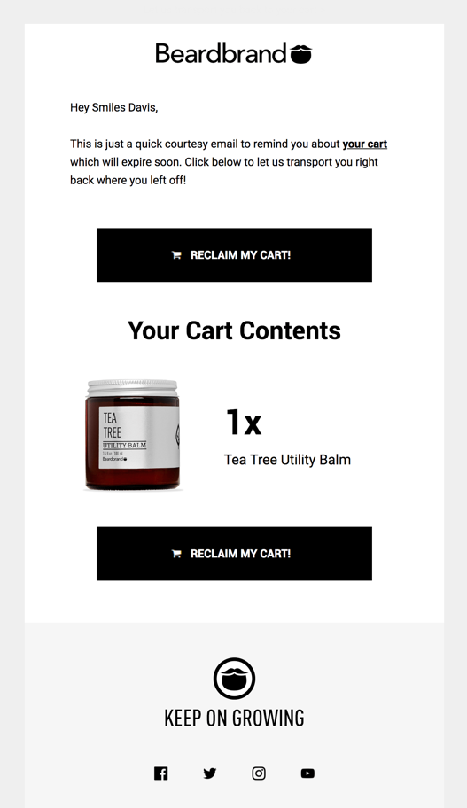 Beardbrand Email