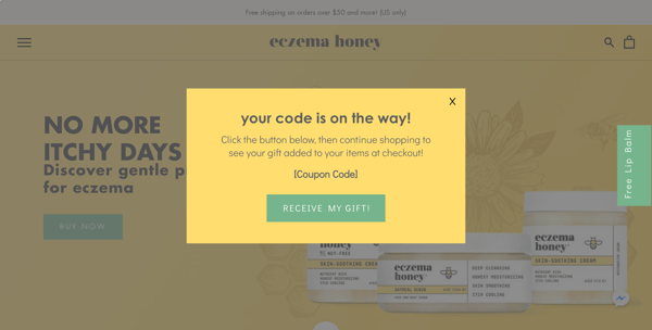 Gift Screen Eczema Honey email pop-up