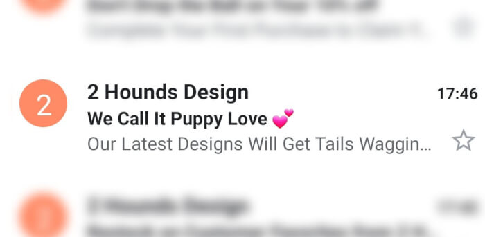 Example of a short subject line by 2 Hounds Design