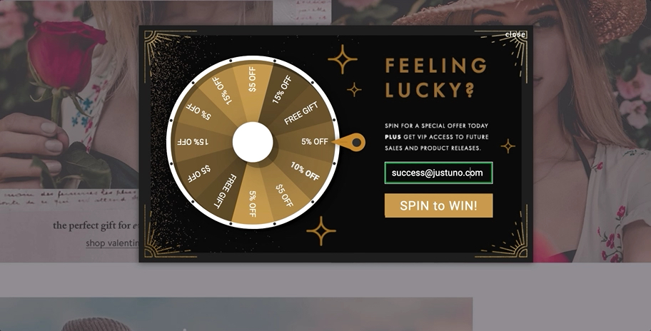 Spin to win pop up bryan anthonys email lead capture