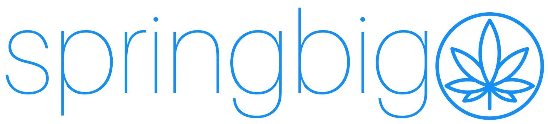 springbig Logo