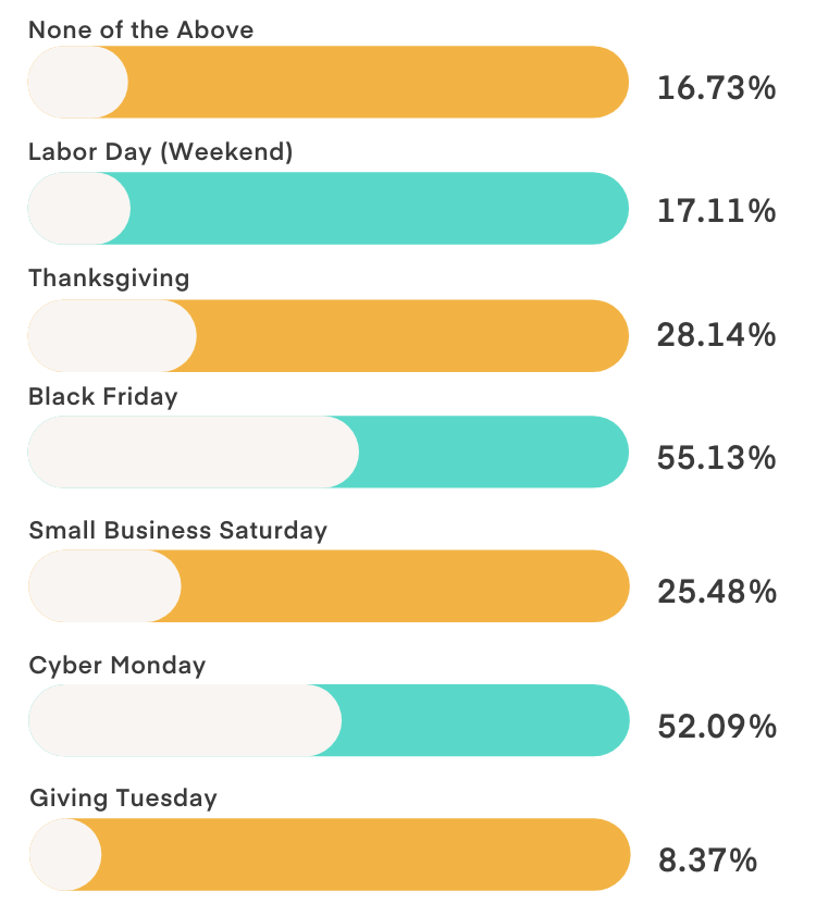 Q3 Consumer Holiday Survey 2023