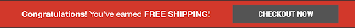 free shipping banner